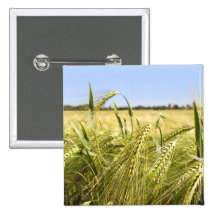 Rye Pin