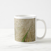 Rye Plants Seed Coffee Mugs