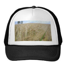 Rye Plants Seed Mesh Hats