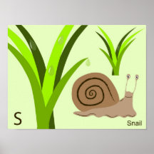 S for snail Poster