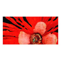 (s)Frilly Red Poppy Custom Photo Card