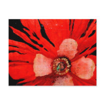 (s)Frilly Red Poppy Postcard