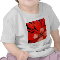 (s)Frilly Red Poppy T-shirts