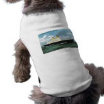 S.S. Constitution American Express Lines Vintage Dog Clothes