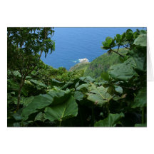 SABA: Sandy Cruz Trail Greeting Cards