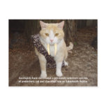 Sabertooth Bubba Post Cards