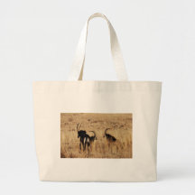 Sable antelopes resting canvas bag