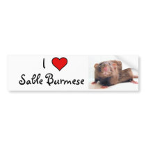 Sable Burmalicious Bumper Stickers