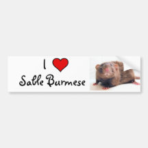 Sable Burmalicious Bumper Stickers