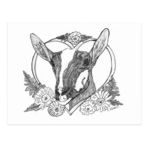 Sable Head in Heart Post Cards