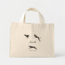 SAC Azawakhs en mouvement