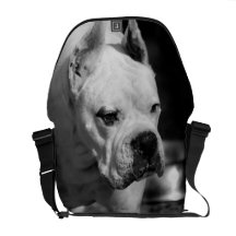 Sac messenger au Rickshaw zéro de chien de boxeur Sacoche