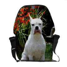 Sac messenger au Rickshaw zéro de chien de boxeur Sacoches