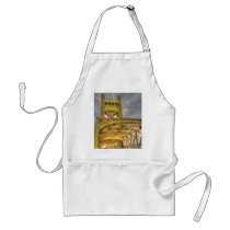 Sacramento Tower Bridge Aprons
