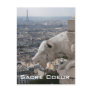 Sacre Coeur Gargoyle 2 Postcard