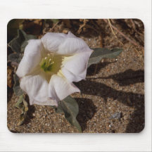 Sacred Datura Flower From Anza Borrego Desert Mouse Pad