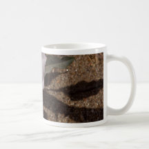 Sacred Datura Flower From Anza Borrego Desert Coffee Mug