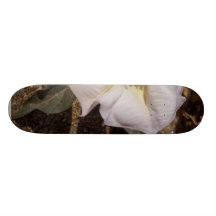 Sacred Datura Flower From Anza Borrego Desert Custom Skate Board
