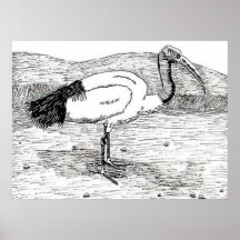 Sacred Ibis Print