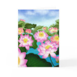 Sacred Lotus Flowers