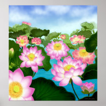 Sacred Lotus Flowers