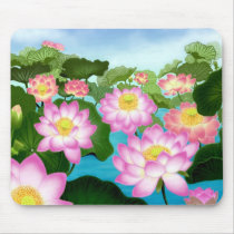 Sacred Lotus Plants