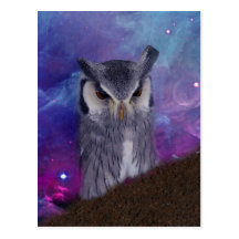 Sacred owl and fantasy sky postcard