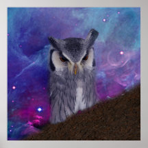 Sacred owl and fantasy sky poster