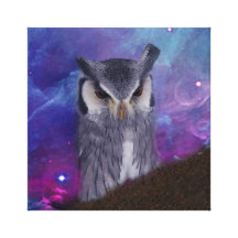Sacred owl and fantasy sky stretched canvas prints