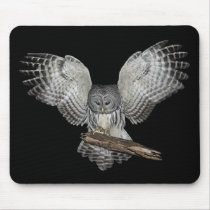Sacred Owl Mousepad