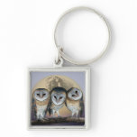 Sacred owls key chain