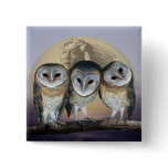 Sacred owls pinback button