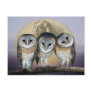Sacred owls postcard