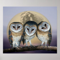 Sacred owls poster