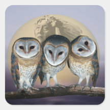 Sacred owls stickers