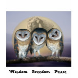 Sacred owls t-shirts