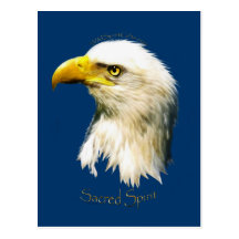 SACRED SPIRIT Bald Eagle Post Card
