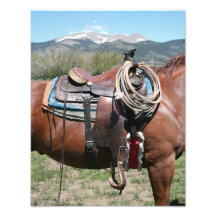 Saddle Up Art Photo