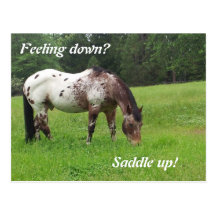 Saddle Up Horse Postcard