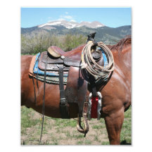 Saddle Up Photographic Print