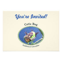 Saddleback Caterpillar Cutie Bug Announcements