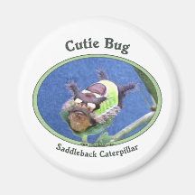 Saddleback Caterpillar Cutie Bug Refrigerator Magnets