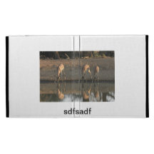 sadfasd coque iPad