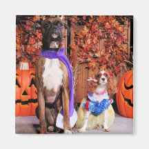 Sadie and Rocky - Cockalier and Boxer - Photo-4 Refrigerator Magnets