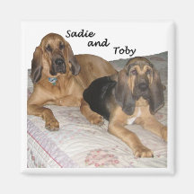 Sadie and Toby 1 Fridge Magnet