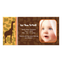 Safari Adventure Photo Cards