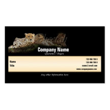 Safari business cards, cheetahs - customizable