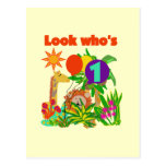 Safari First Birthday Tshirts and Gifts Postcards