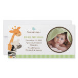 Safari Friends Birth Announcement photo cards
