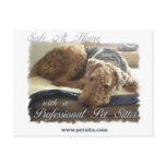 Safe At Home with a Professional Pet Sitter Postcards